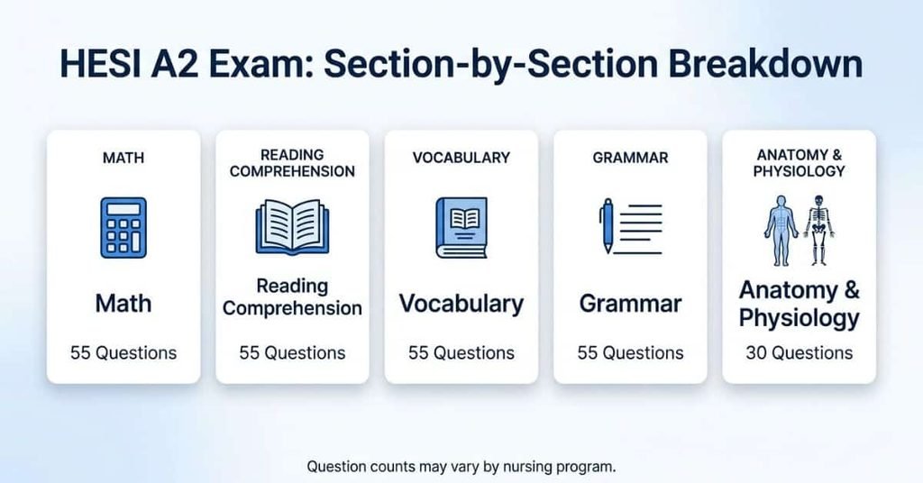 HESI A2 exam question counts by section, including math, reading comprehension, vocabulary, grammar, and anatomy and physiology.